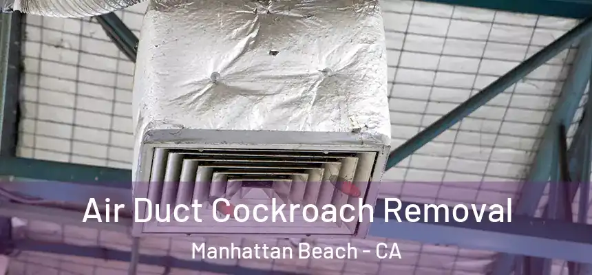 Air Duct Cockroach Removal Manhattan Beach - CA