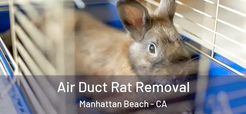  Air Duct Rat Removal Manhattan Beach - CA