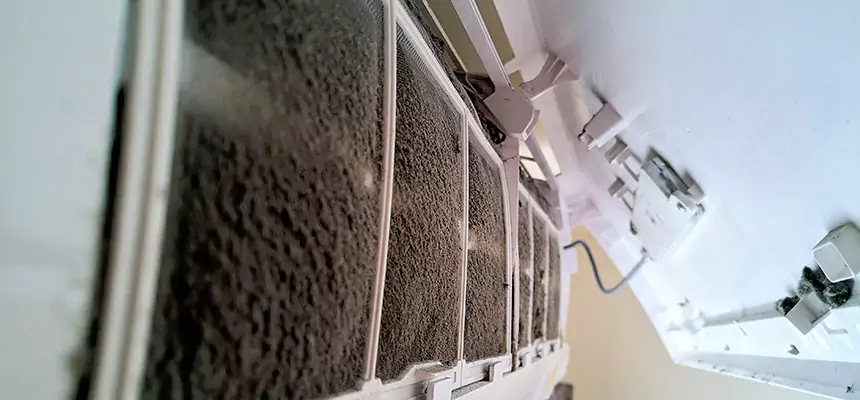 Preventive Air Duct Bacteria Removal in Manhattan Beach