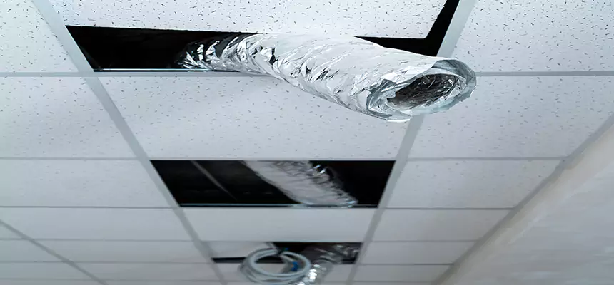 Our Air Duct Pet Hair Removal Services in Manhattan Beach, CA