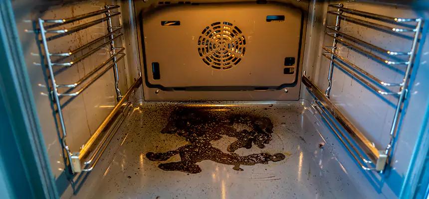 Our Dryer Vent Mold Cleaning Services in Manhattan Beach, CA