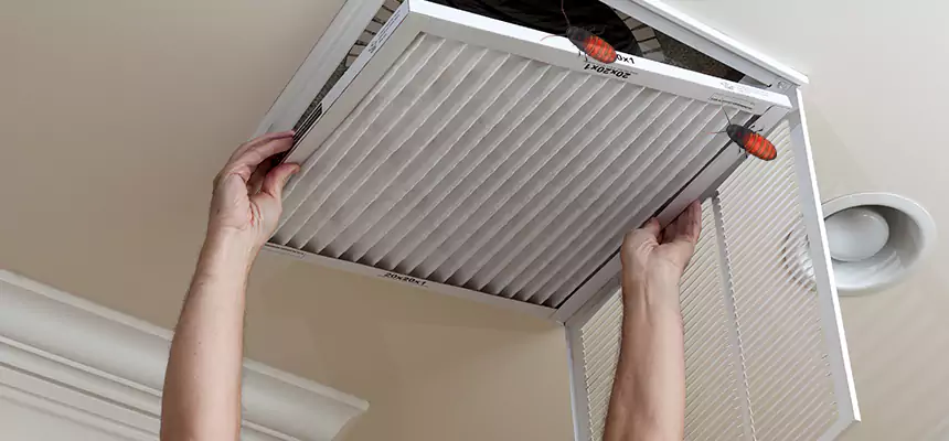 Our Insect Removal from Air Ducts Services in Manhattan Beach, CA