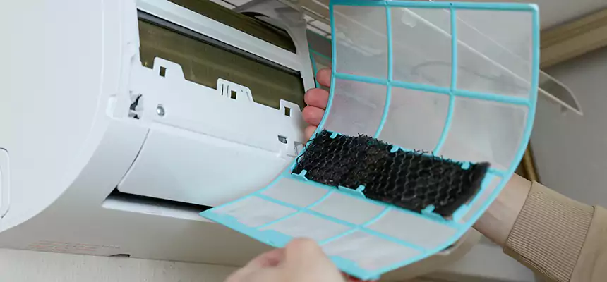 Gentle Ductwork Odor-Control Pet Dander Duct Cleaning in Manhattan Beach, CA