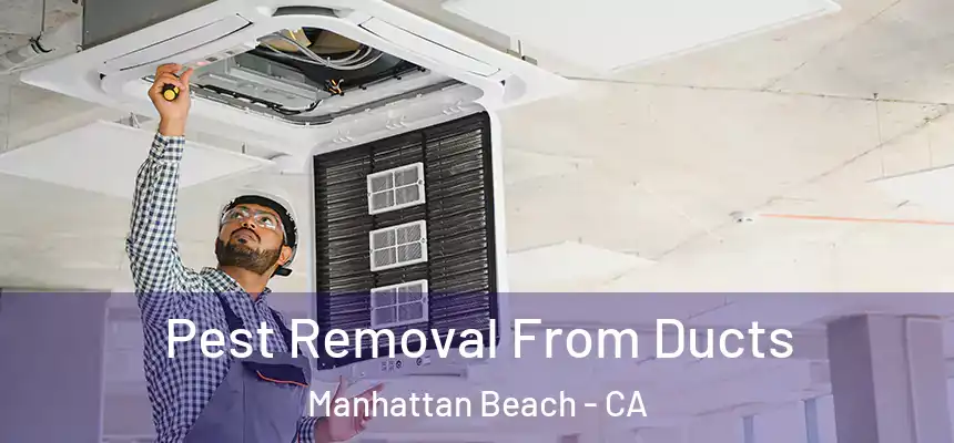  Pest Removal From Ducts Manhattan Beach - CA