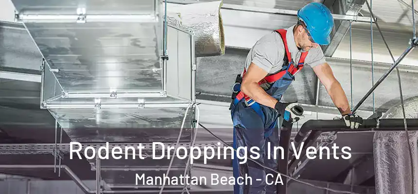  Rodent Droppings In Vents Manhattan Beach - CA