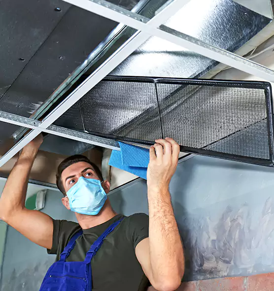 Professional Air Duct Pollen Cleaning in Manhattan Beach, CA