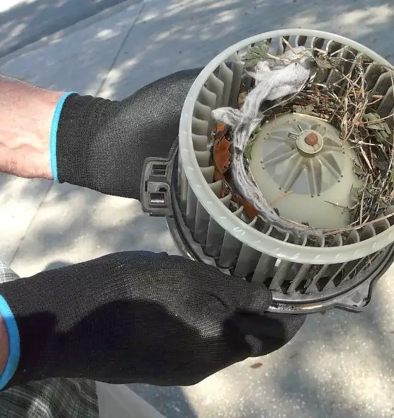 About Air Duct Rat Removal in Manhattan Beach, CA