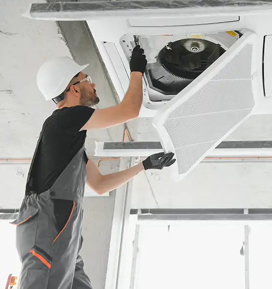 About Air Duct Rodent Removal in Manhattan Beach, CA