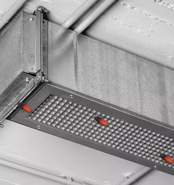 Affordable Insect Removal from Air Ducts in Manhattan Beach, CA