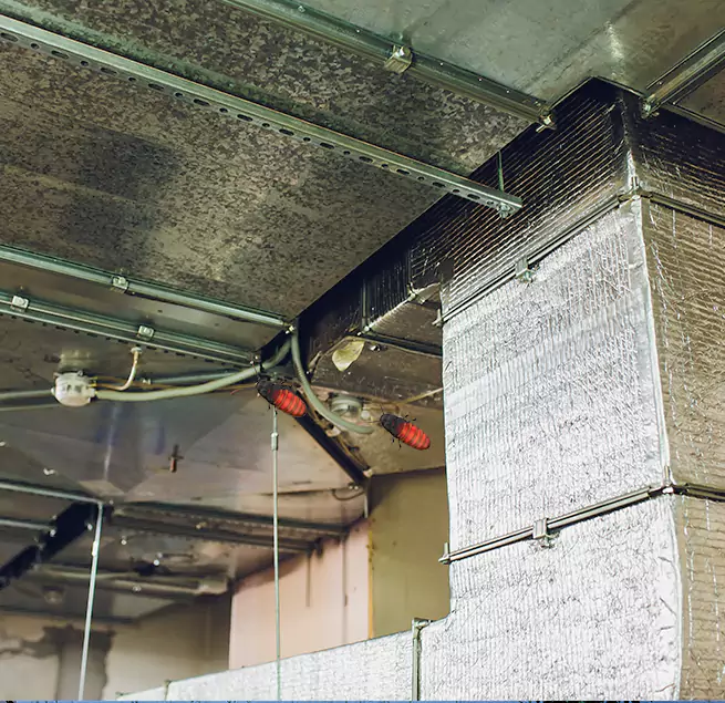 Why Homeowners & Businesses Trust Us in Manhattan Beach, CA?