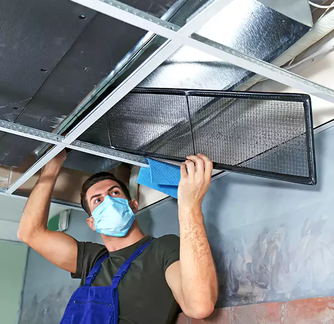 Why Homeowners Businesses Trust Us in Manhattan Beach, CA